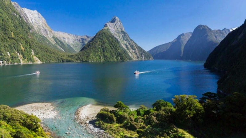 Milford Sound Coach and Cruise